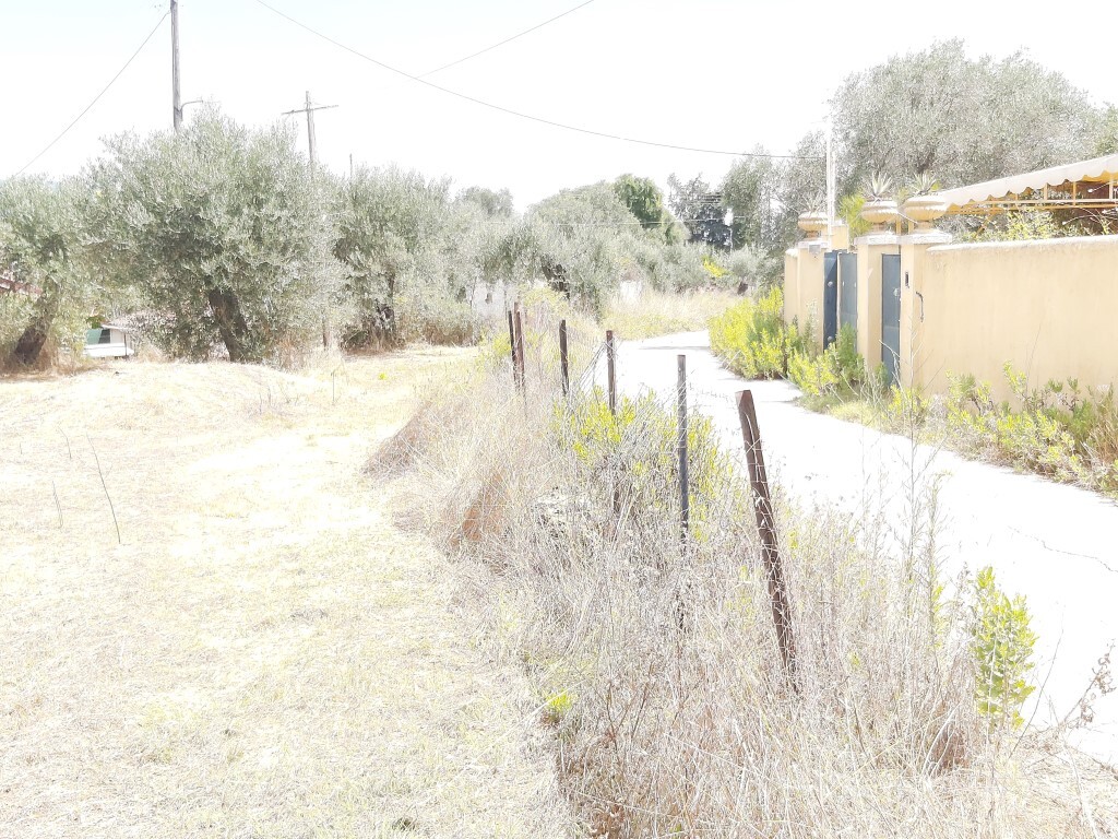 Land in Corfu, Corfu Prefecture, Greece – 56295