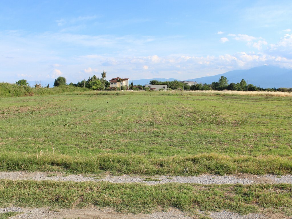 Land in Katerini, Pieria Prefecture, Greece – 56292