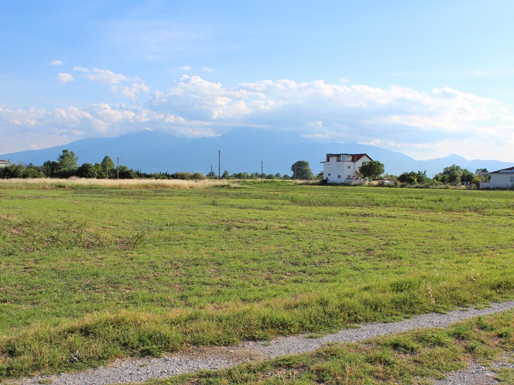 Land in Katerini, Pieria Prefecture, Greece – 56292