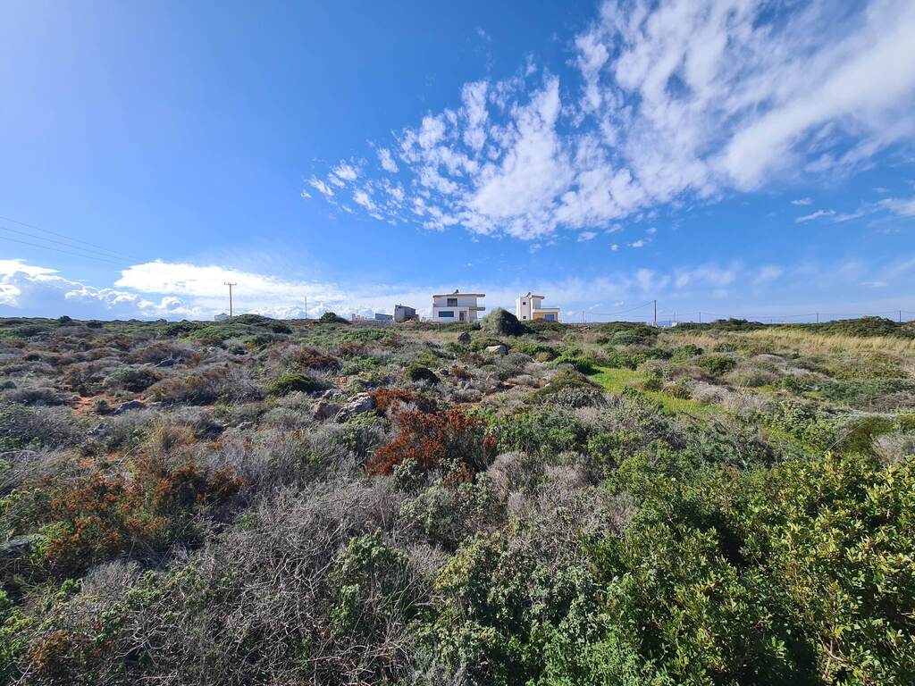 Land in Pelekanos, Chania Prefecture, Greece – 56286