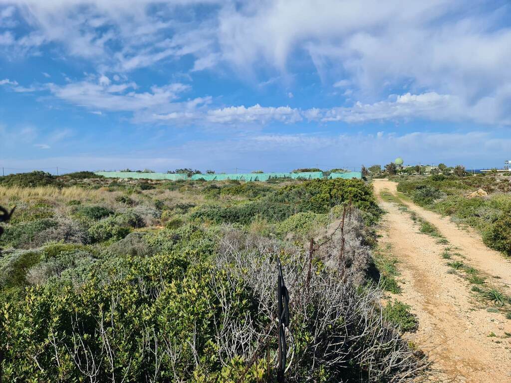 Land in Pelekanos, Chania Prefecture, Greece – 56286