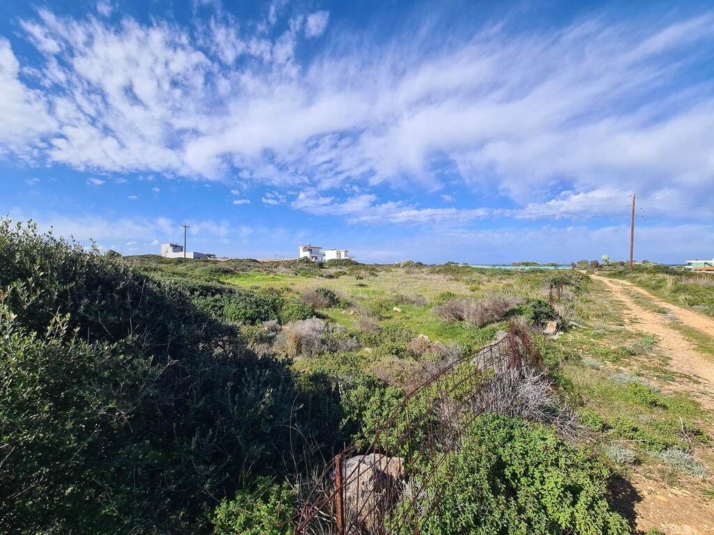 Land in Pelekanos, Chania Prefecture, Greece – 56285