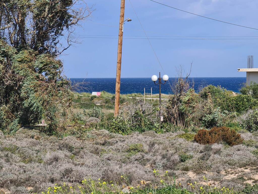 Land in Pelekanos, Chania Prefecture, Greece – 56285