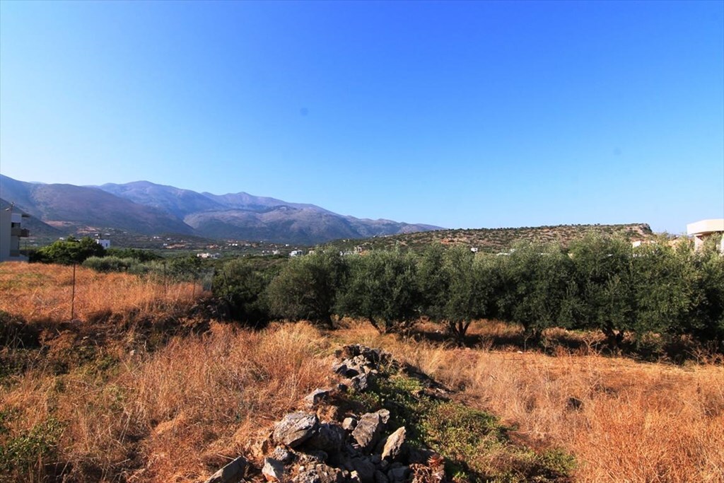 Land in Vrachasi, Lasithi Prefecture, Greece – 56280