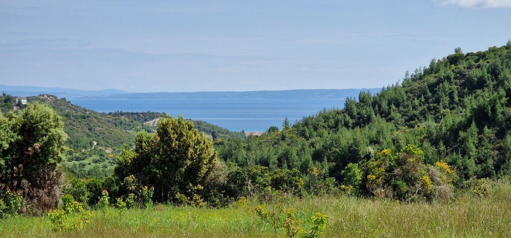Land in Kassandra, Chalkidiki, Greece – 56193