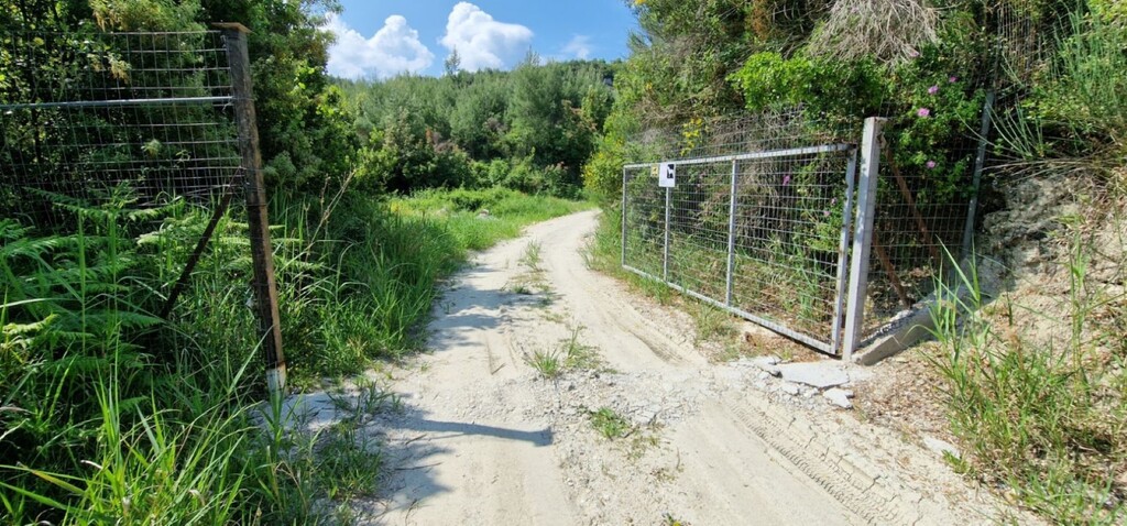 Land in Kassandra, Chalkidiki, Greece – 56193