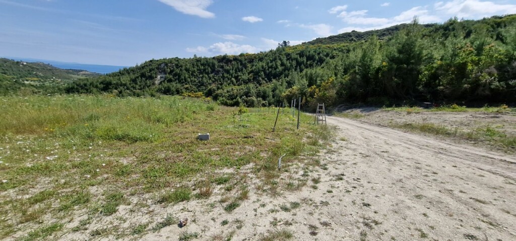 Land in Kassandra, Chalkidiki, Greece – 56193