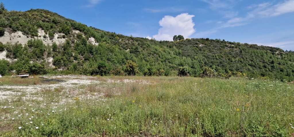 Land in Kassandra, Chalkidiki, Greece – 56193