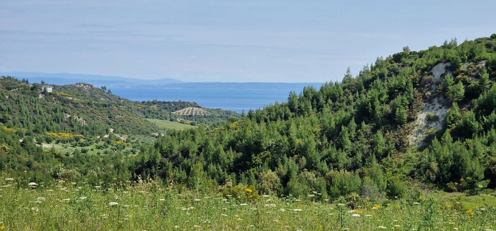 Land in Kassandra, Chalkidiki, Greece – 56193