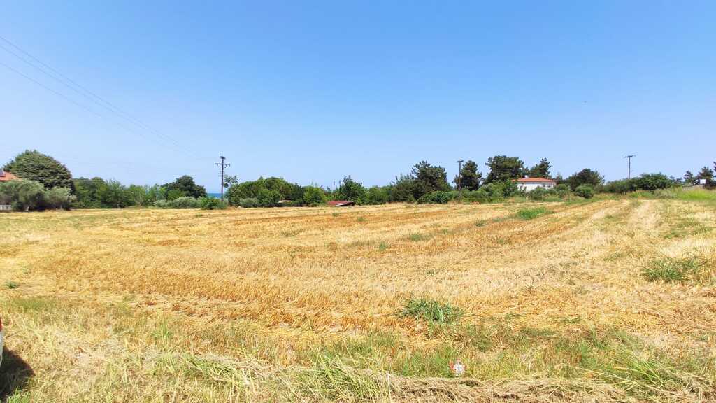 Land in Pidna, Pieria Prefecture, Greece – 56156