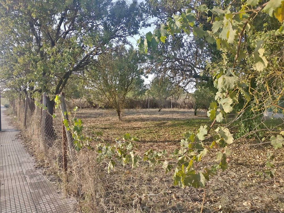 Land in Nea Propontida, Chalkidiki, Greece – 56101