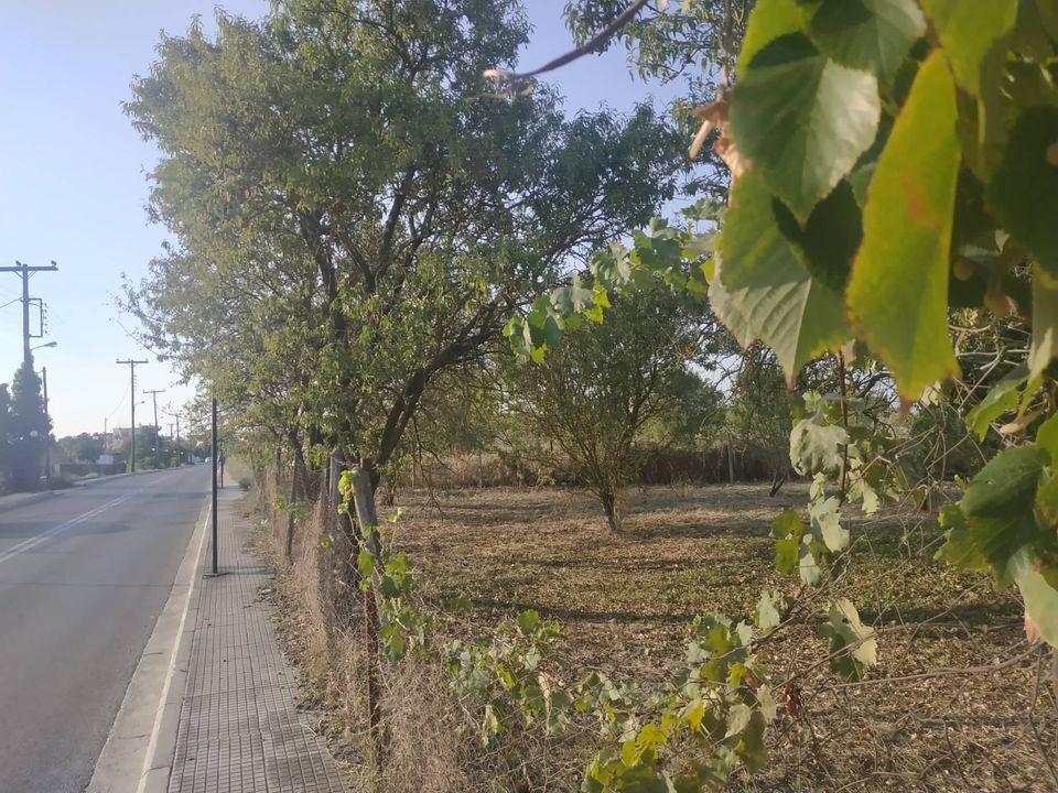 Land in Nea Propontida, Chalkidiki, Greece – 56101