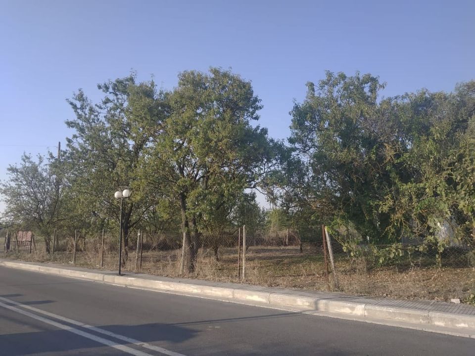 Land in Nea Propontida, Chalkidiki, Greece – 56101