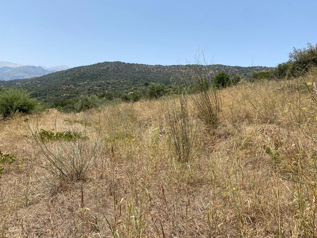 Land in Armenoi, Chania Prefecture, Greece – 56098