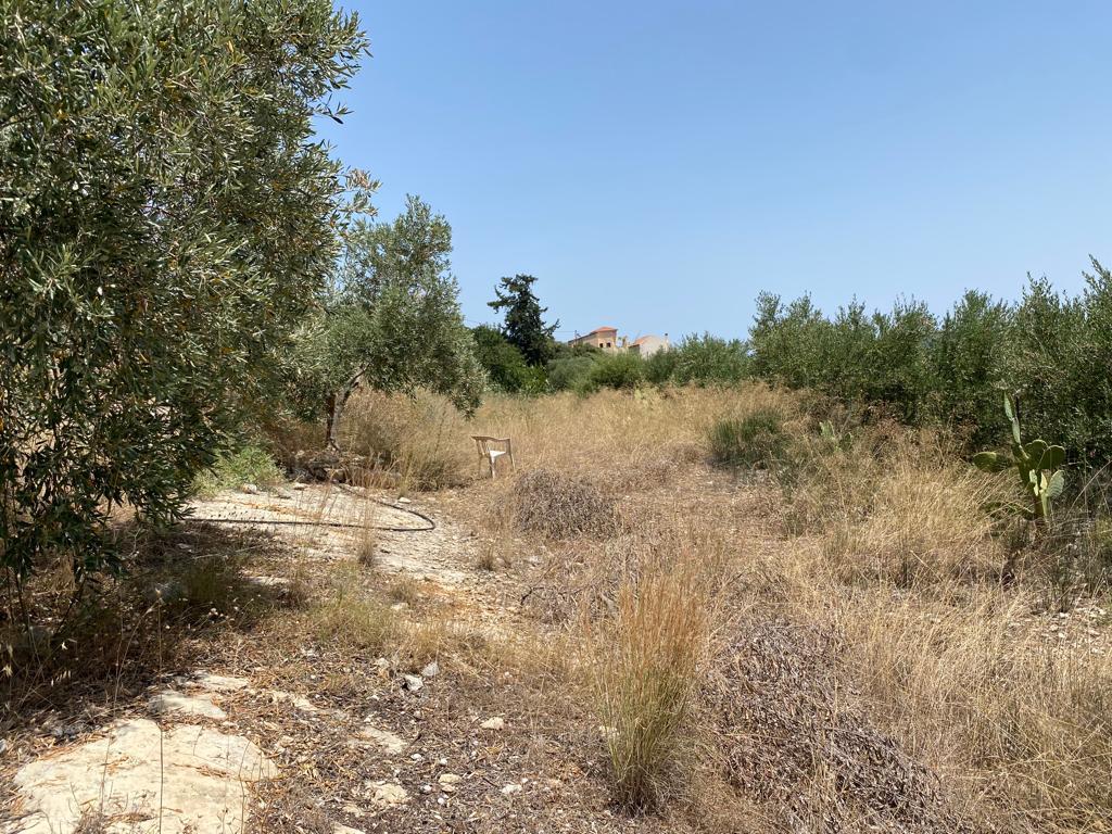 Land in Armenoi, Chania Prefecture, Greece – 56098