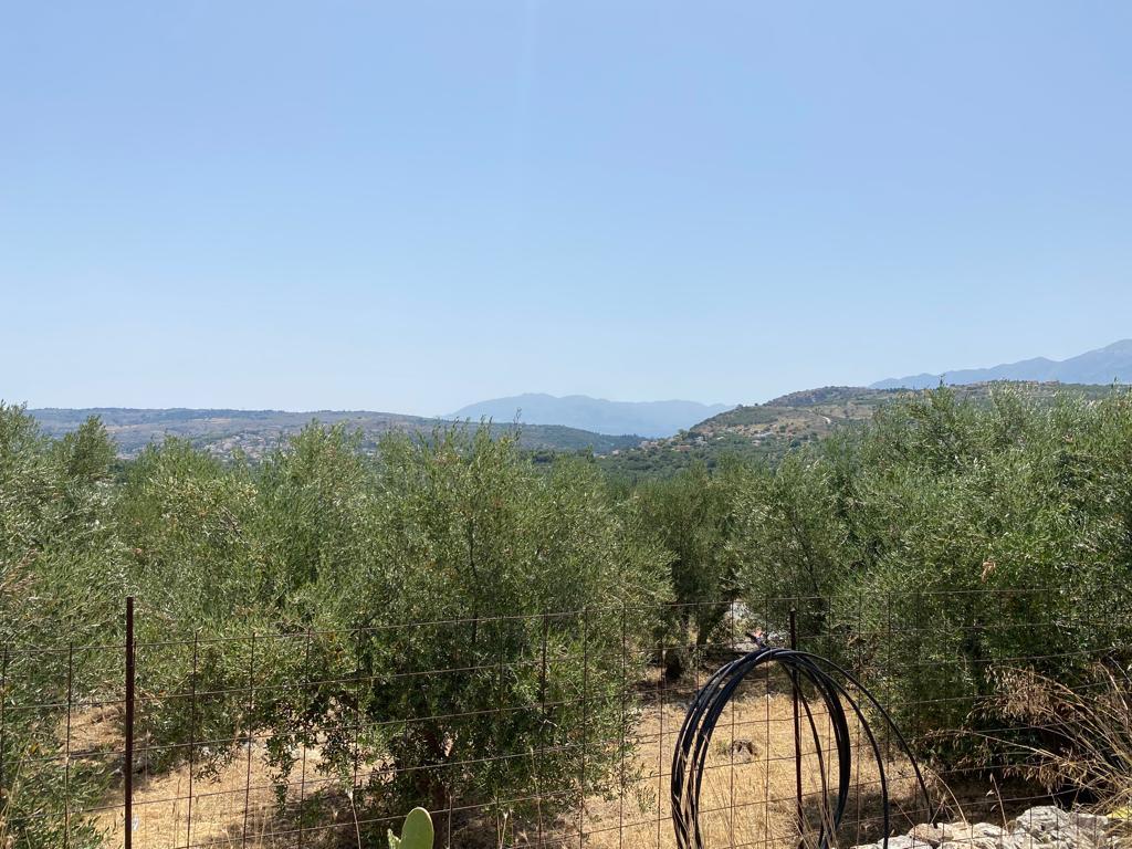Land in Armenoi, Chania Prefecture, Greece – 56098