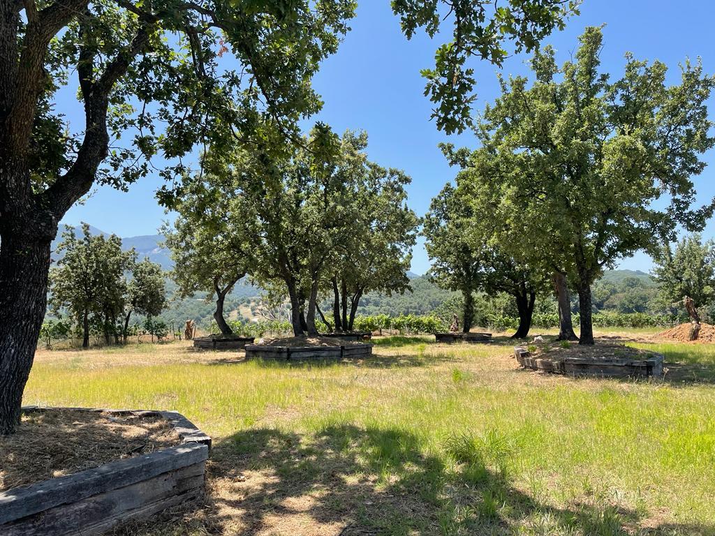 Land in Corfu, Corfu Prefecture, Greece – 56094