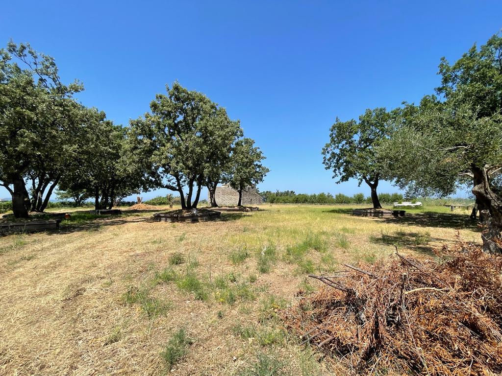 Land in Corfu, Corfu Prefecture, Greece – 56094