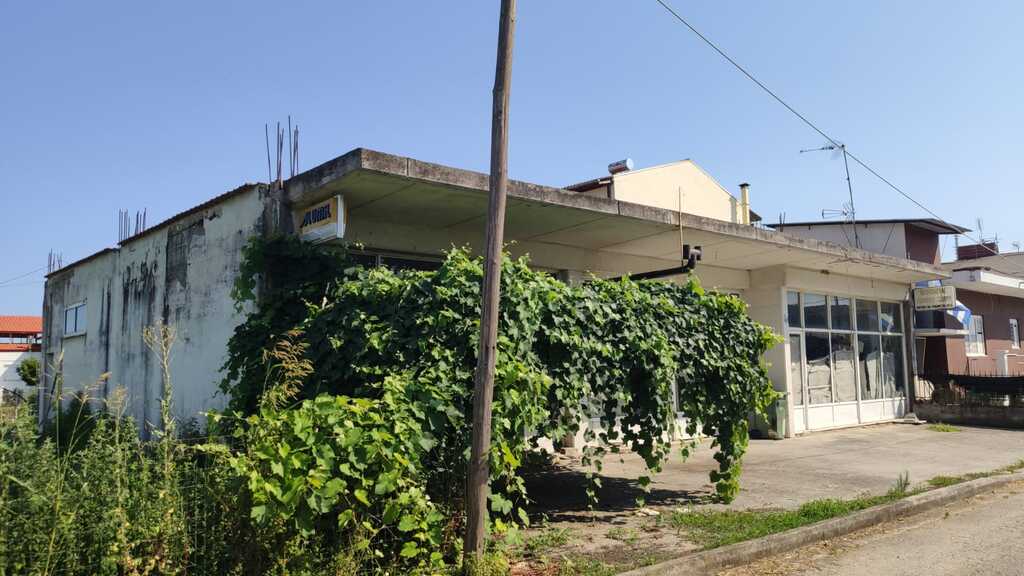 Business in Katerini, Pieria Prefecture, Greece – 56066