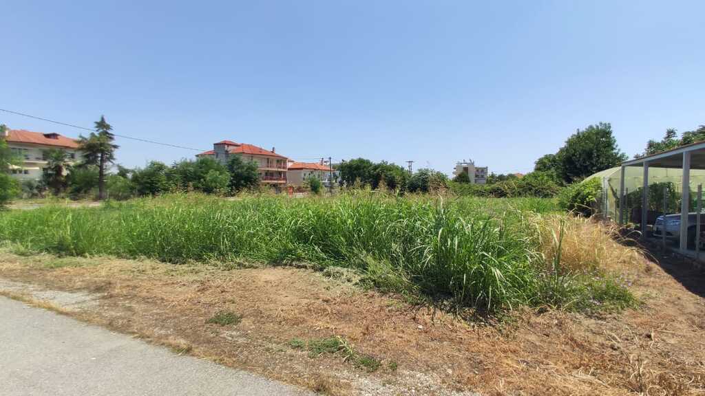 Land in Katerini, Pieria Prefecture, Greece – 56040
