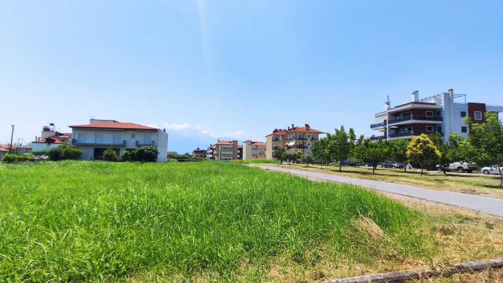 Land in Katerini, Pieria Prefecture, Greece – 56039