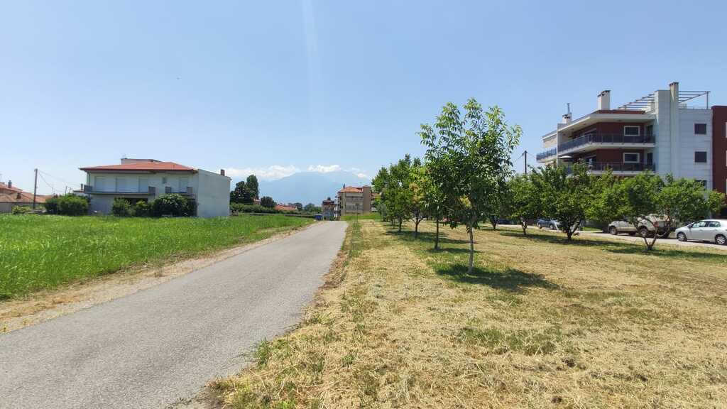 Land in Katerini, Pieria Prefecture, Greece – 56039