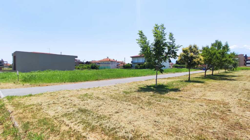 Land in Katerini, Pieria Prefecture, Greece – 56039