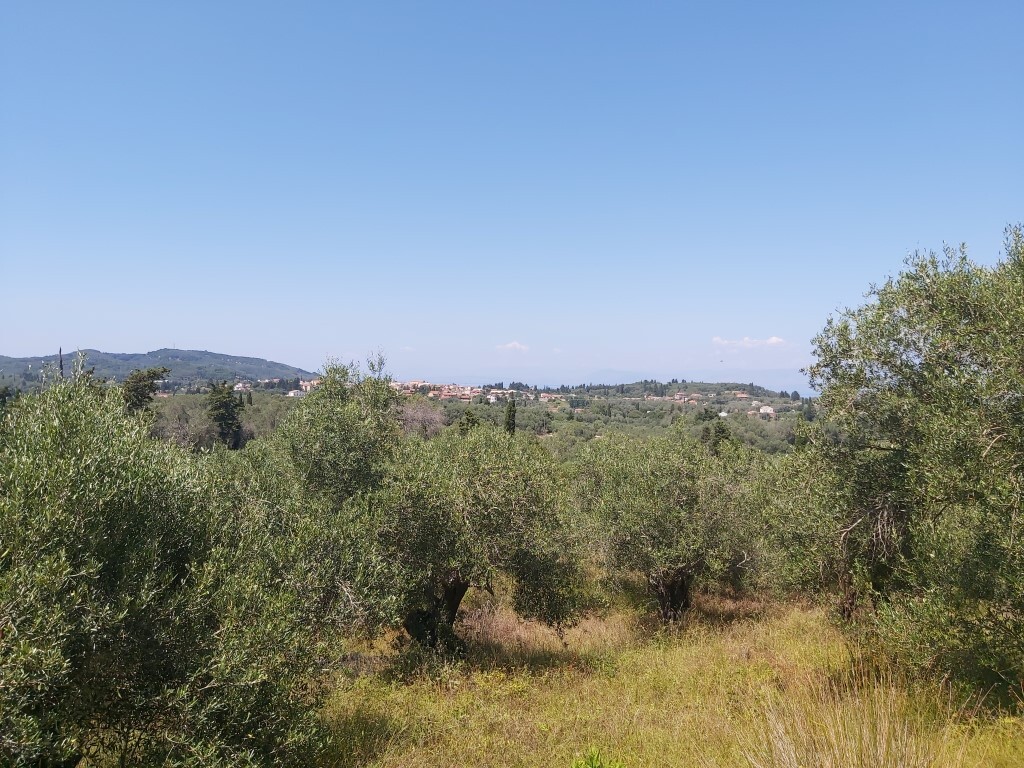 Land in Corfu, Corfu Prefecture, Greece – 56031