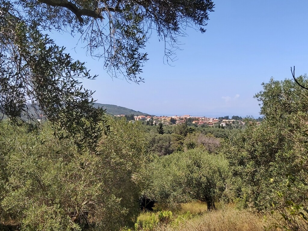 Land in Corfu, Corfu Prefecture, Greece – 56031
