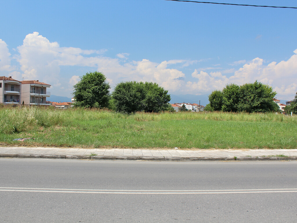 Land in Katerini, Pieria Prefecture, Greece – 55985