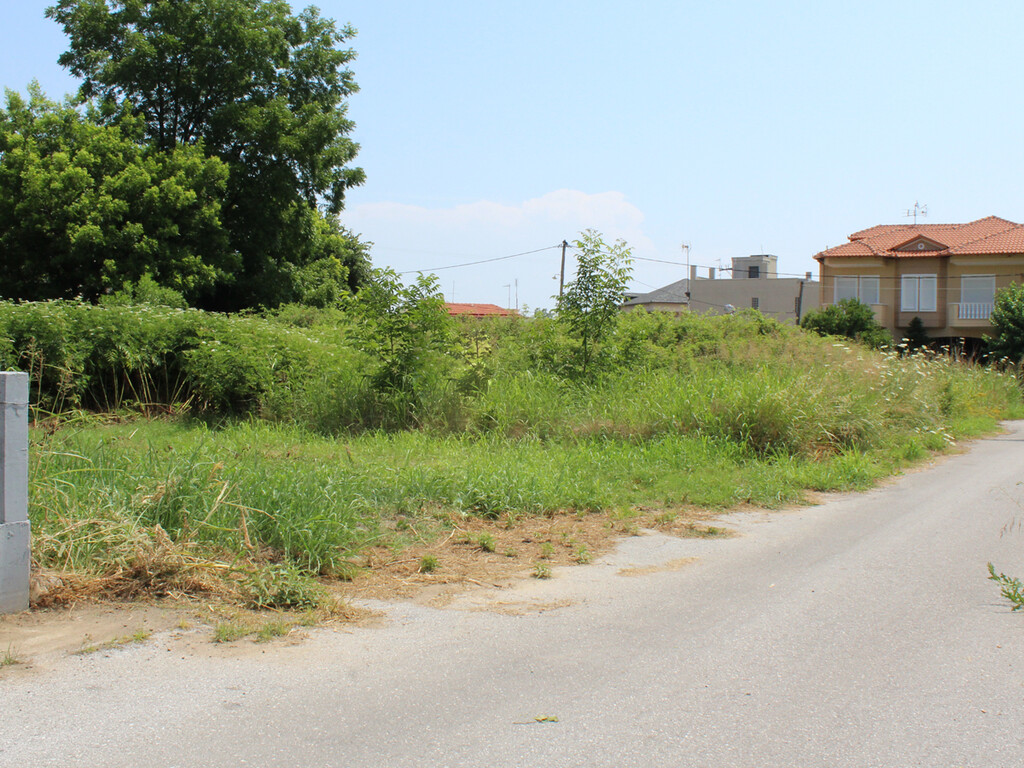 Land in Katerini, Pieria Prefecture, Greece – 55984