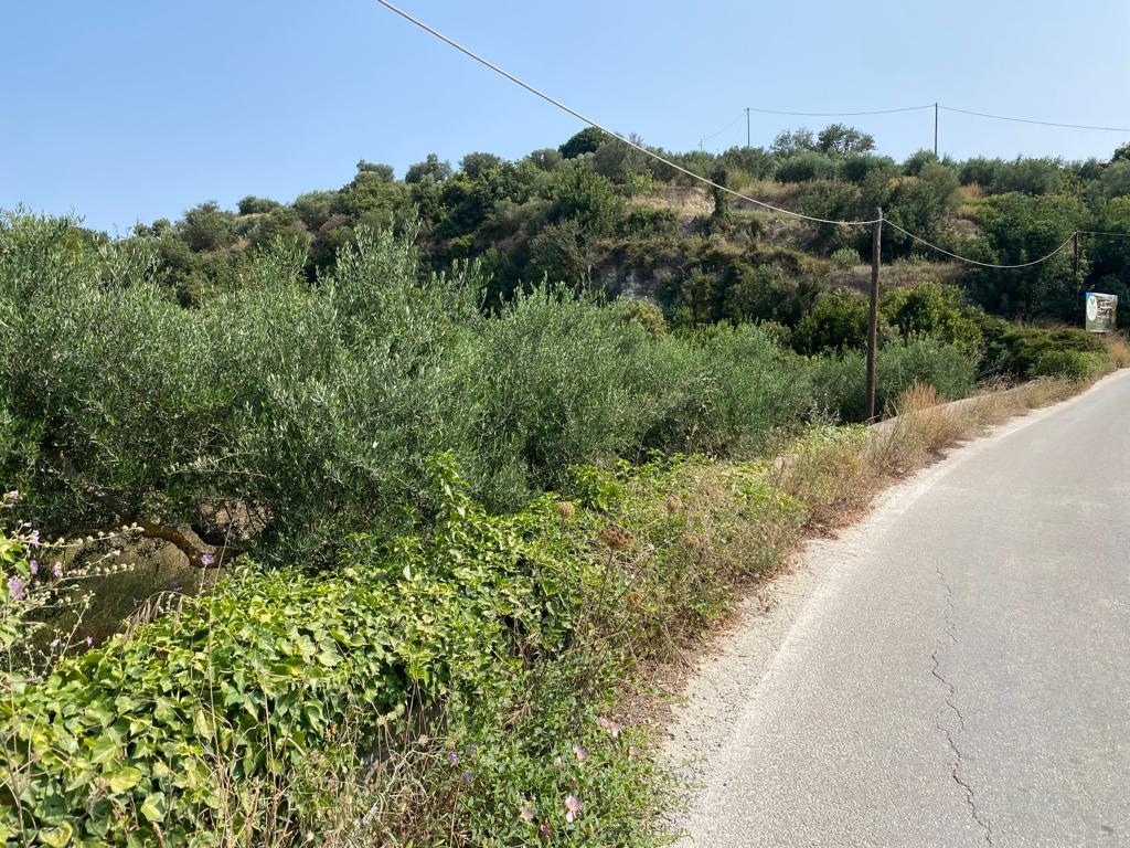 Land in Vamos, Chania Prefecture, Greece – 55956