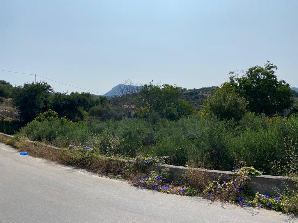 Land in Vamos, Chania Prefecture, Greece – 55956
