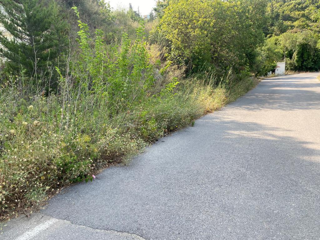 Land in Vamos, Chania Prefecture, Greece – 55955
