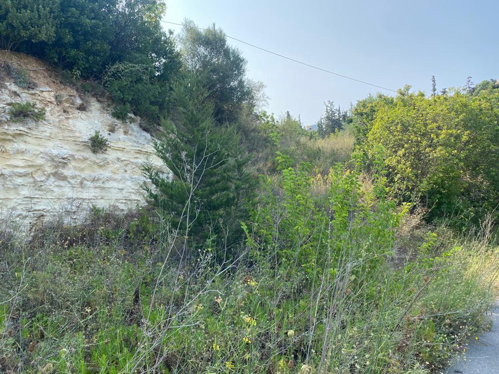 Land in Vamos, Chania Prefecture, Greece – 55955