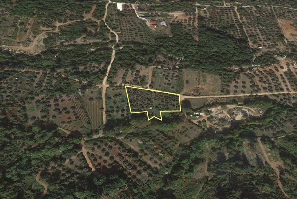 Land in Thasos, Kavala Prefecture, Greece – 55947