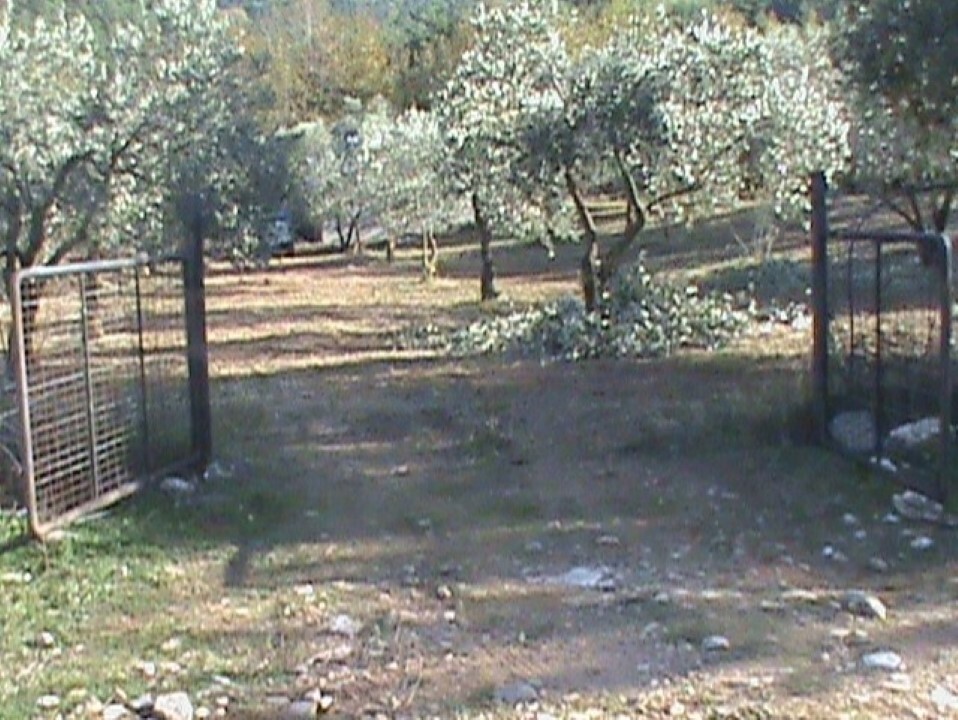 Land in Thasos, Kavala Prefecture, Greece – 55947
