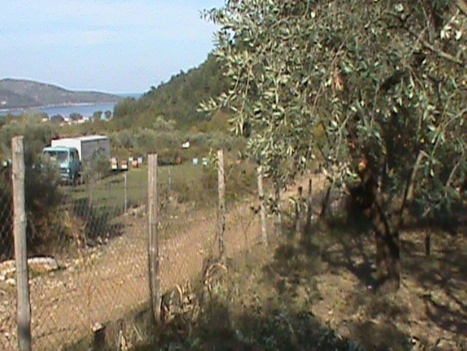Land in Thasos, Kavala Prefecture, Greece – 55947