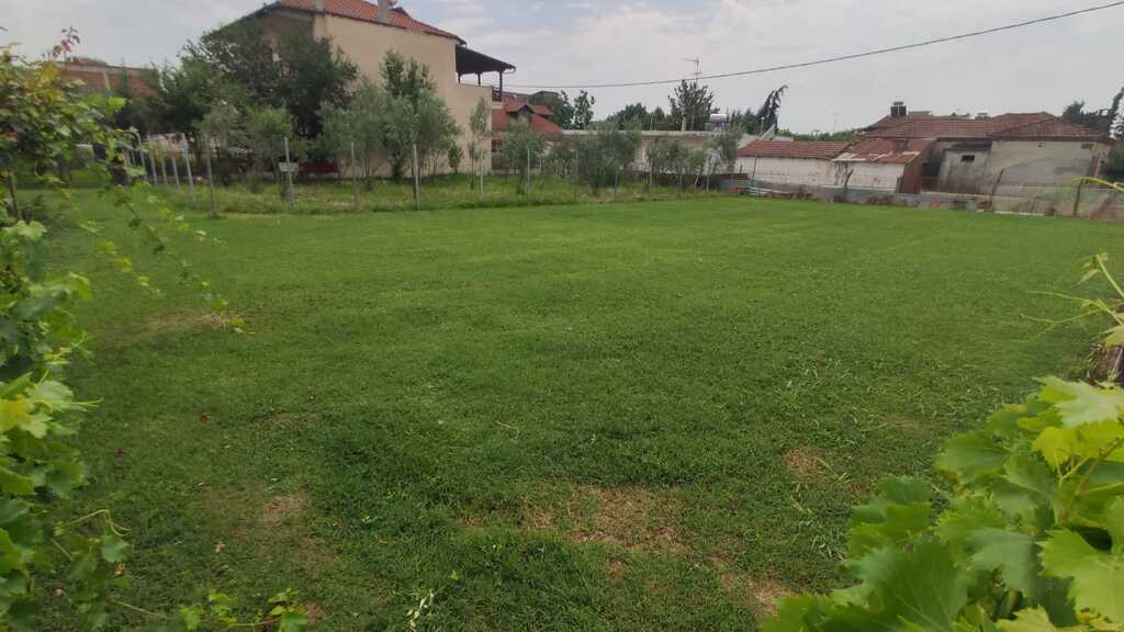 Land in Katerini, Pieria Prefecture, Greece – 55867