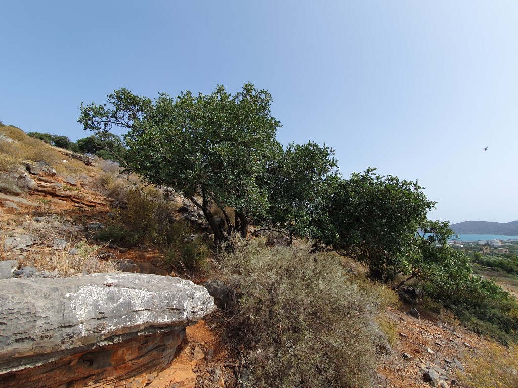Land in Elounda, Lasithi Prefecture, Greece – 55851