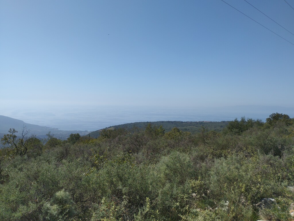 Land in Lefktros, Messinia, Greece – 54837