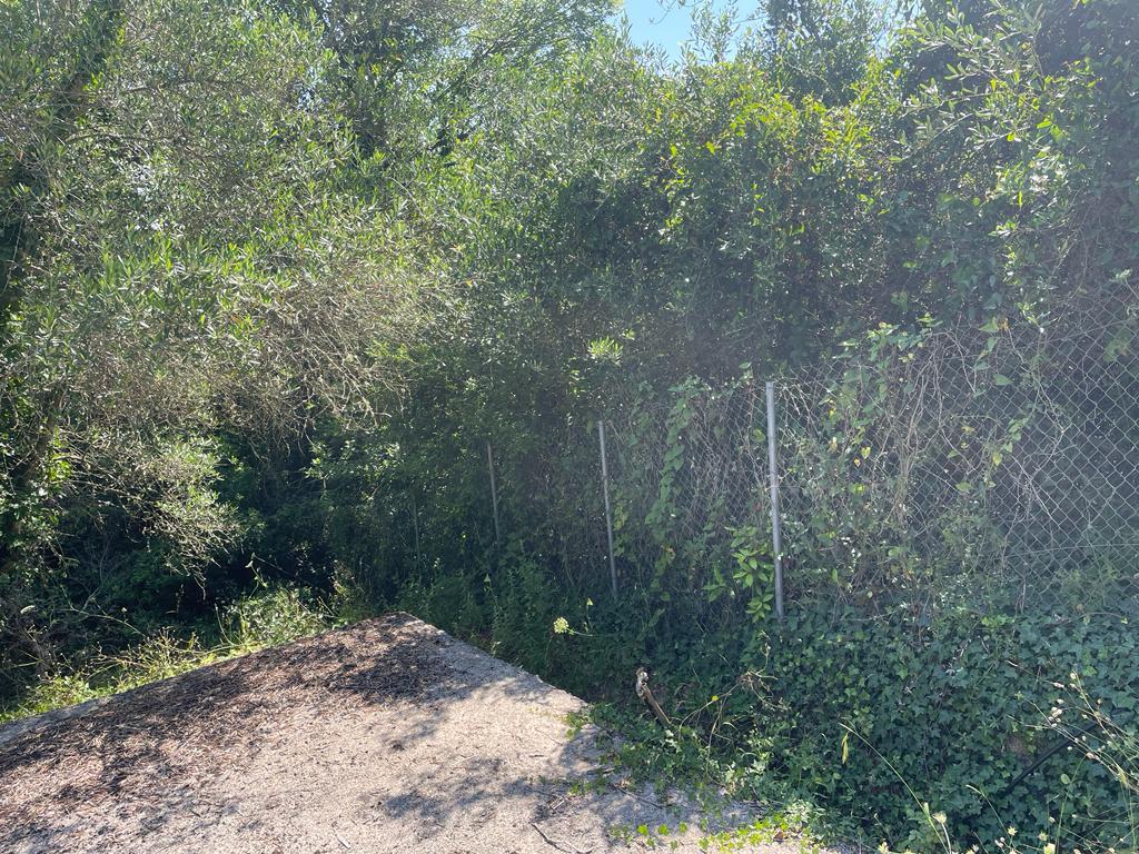 Land in Corfu, Corfu Prefecture, Greece – 54737