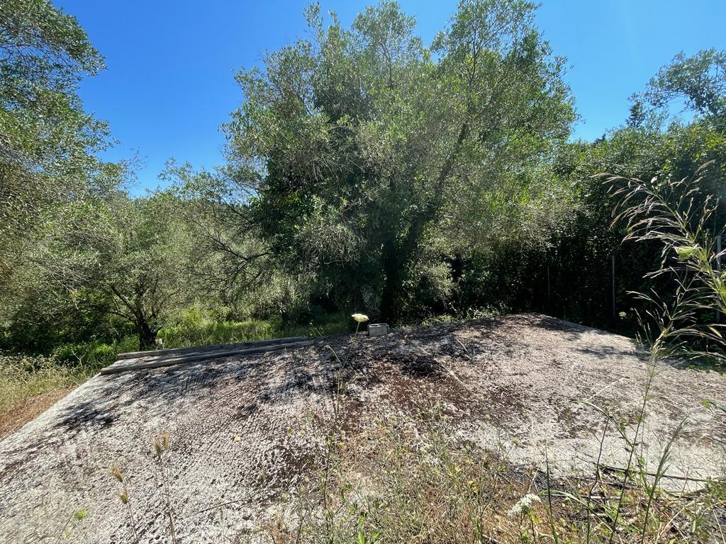 Land in Corfu, Corfu Prefecture, Greece – 54737