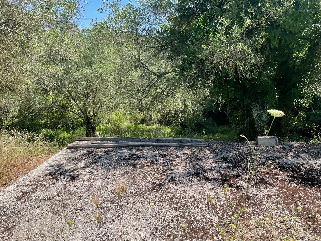 Land in Corfu, Corfu Prefecture, Greece – 54737