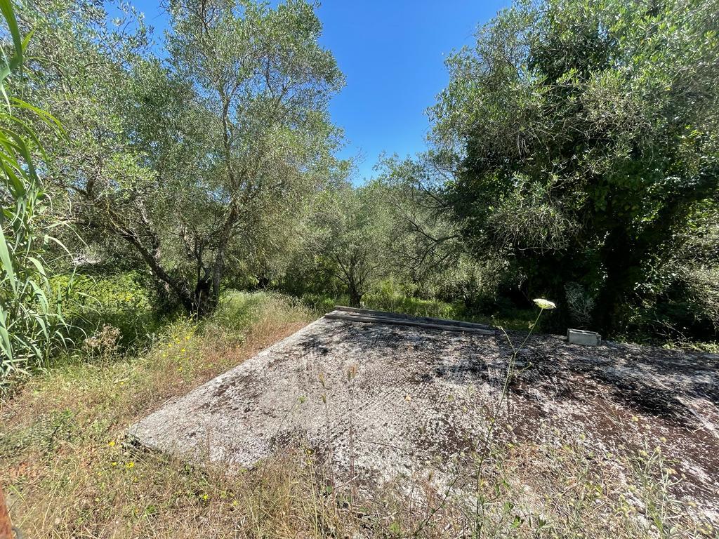 Land in Corfu, Corfu Prefecture, Greece – 54737
