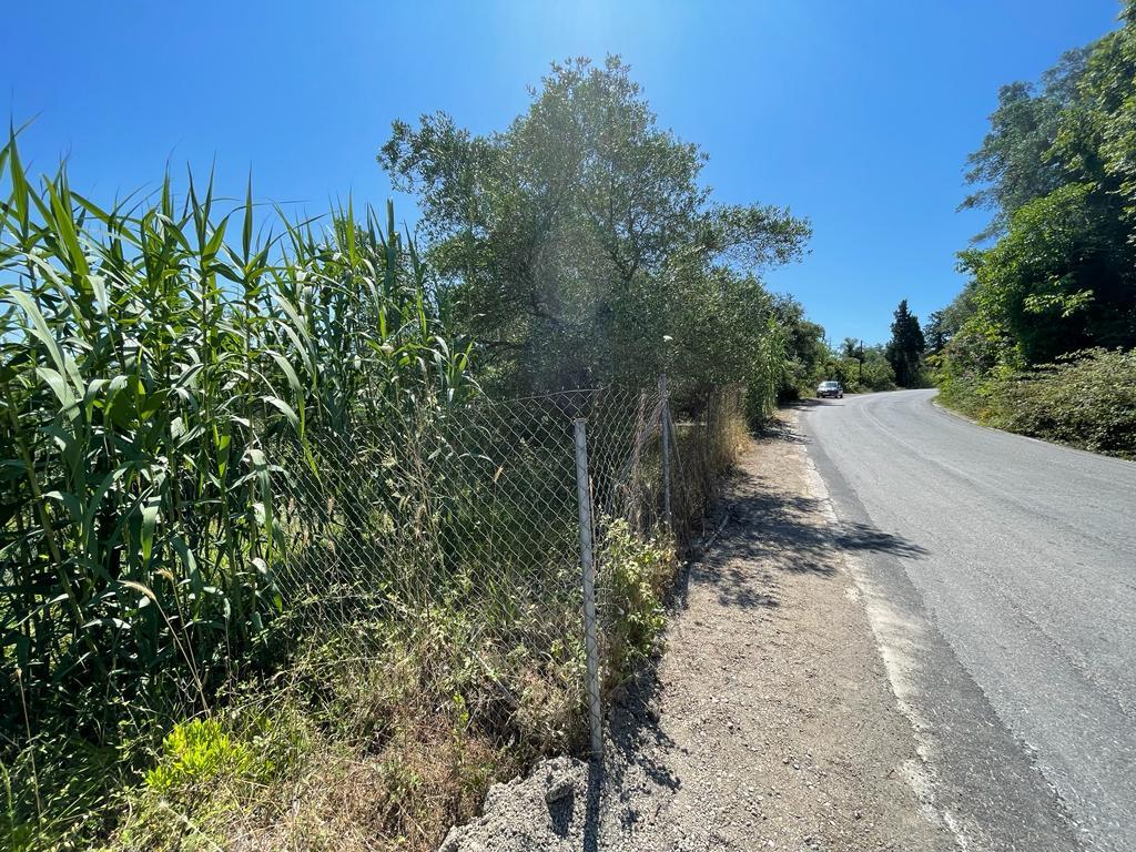 Land in Corfu, Corfu Prefecture, Greece – 54737
