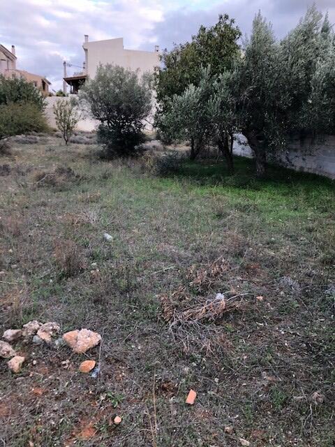Land in Kalivia Thorikou, Rest Of Attica, Greece – 54641