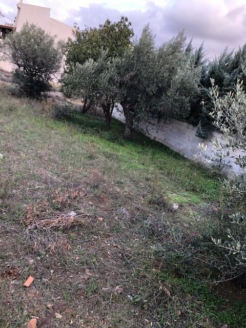 Land in Kalivia Thorikou, Rest Of Attica, Greece – 54641