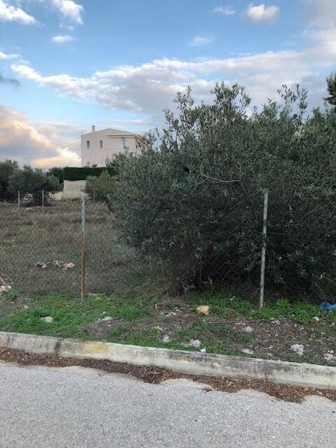 Land in Kalivia Thorikou, Rest Of Attica, Greece – 54641