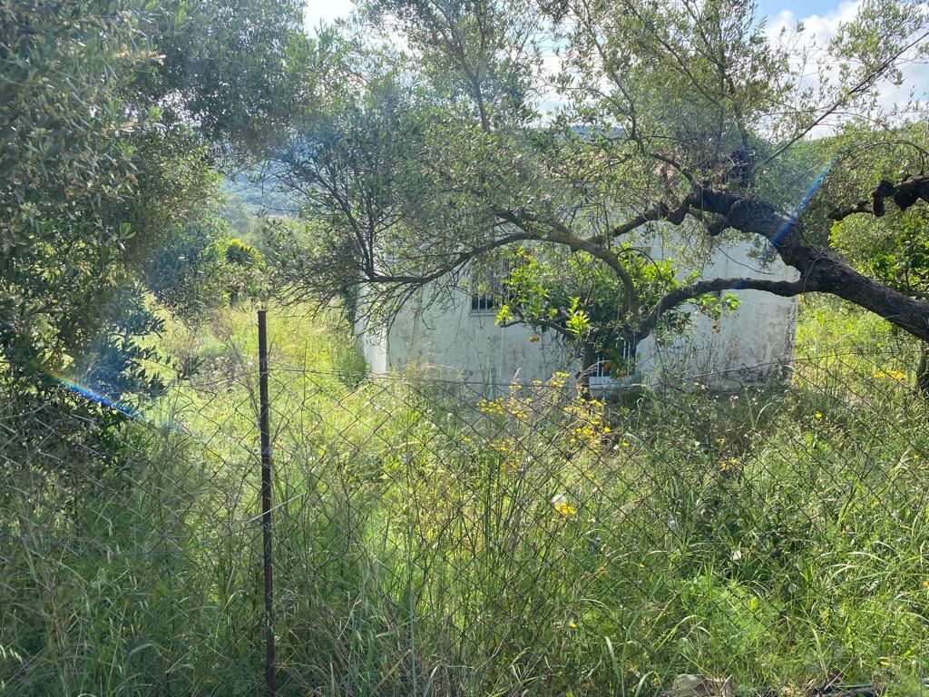 Land in Kolimvari, Chania Prefecture, Greece – 54604